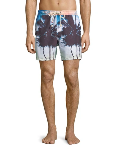 Sol Angeles Off Tropic Palm Tree Swim Trunks