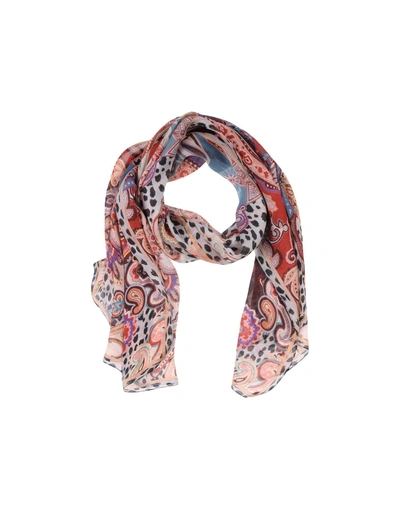 Roberto Cavalli Scarves In Dove Grey