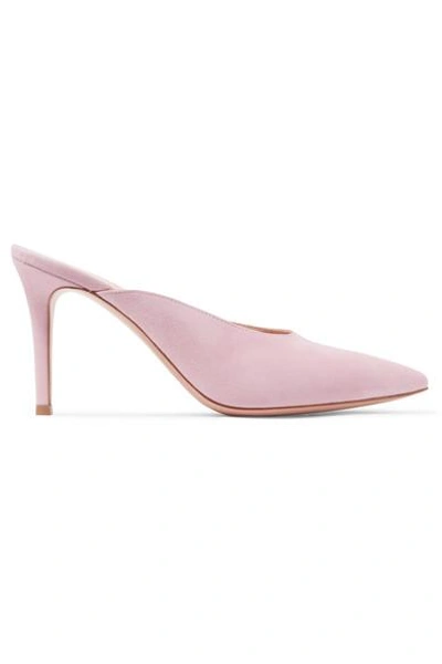 Gianvito Rossi 85 Suede Mules In Baby Pink