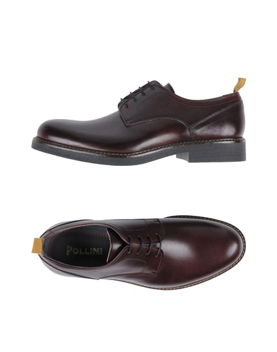 Pollini Laced Shoes In Maroon