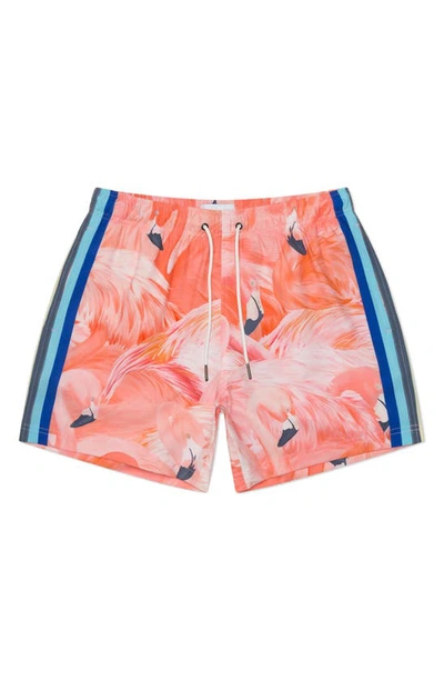 Mavrans Flamingo Performance Swim Trunks In Pink