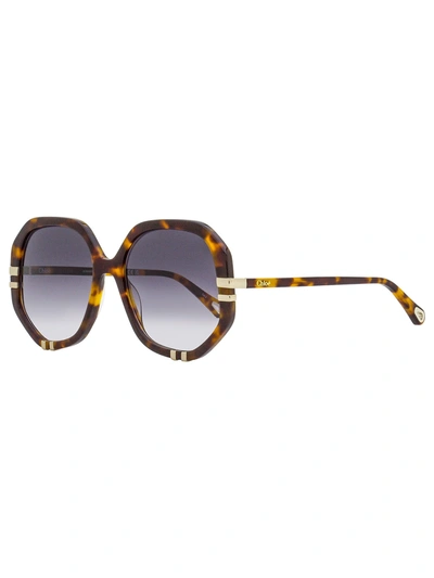 Chloé Women's Geometric Sunglasses Ch0105s 004 Havana/gold 58mm In Brown