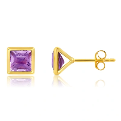 Nicole Miller Sterling Silver And 14k Yellow Gold Plated Princess Cut 6mm Gemstone Square Stud Earrings With Push  In Purple