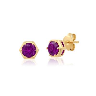 Nicole Miller Sterling Silver And 14k Yellow Gold Plated Round Cut 5mm Gemstone Hexagon Stud Earrings With Push Ba In Purple
