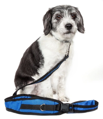 Pet Life 'echelon' Hands Free And Convertible 2-in-1 Training Pet Dog Leash And Pet Belt Trainer In Blue