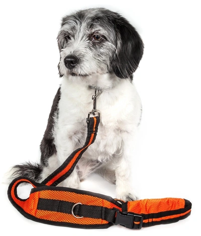 Pet Life 'echelon' Hands Free And Convertible 2-in-1 Training Pet Dog Leash And Pet Belt Trainer In Orange