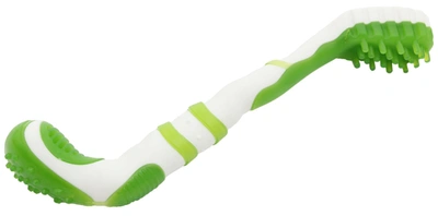 Pet Life 'denta-brush' Tpr Durable Tooth Brush And Dog Toy In Green
