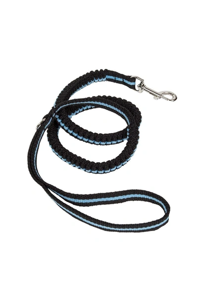 Pet Life 'retract-a-wag' Shock Absorption Stitched Durable Pet Dog Leash In Blue