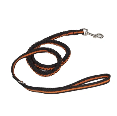Pet Life 'retract-a-wag' Shock Absorption Stitched Durable Pet Dog Leash In Orange