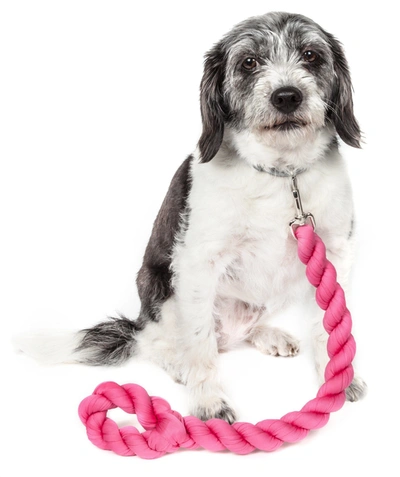 Pet Life 'tough-tugger' Industrial-strength Shock Absorption Woven Pet Dog Leash In Pink