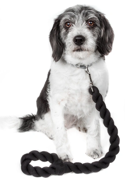 Pet Life 'tough-tugger' Industrial-strength Shock Absorption Woven Pet Dog Leash In Blue