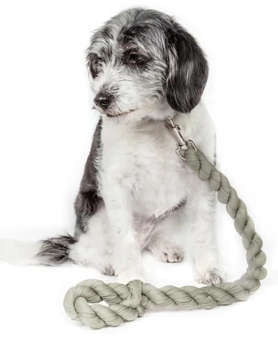 Pet Life 'tough-tugger' Industrial-strength Shock Absorption Woven Pet Dog Leash In Green