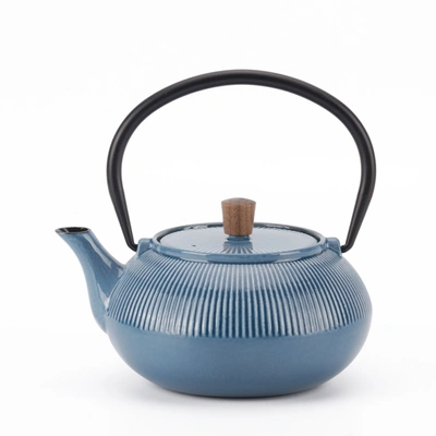 Minimal Enameled Cast Iron Teapot - Line In Multi