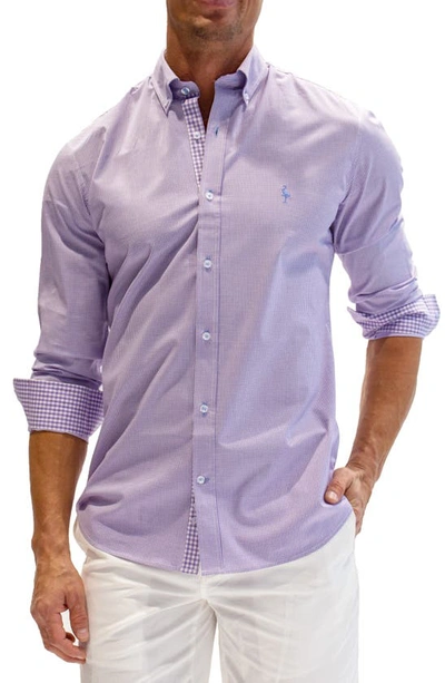 Tailorbyrd Regular Fit Gingham Stretch Cotton Button-down Shirt In Lilac