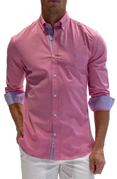 Tailorbyrd Regular Fit Gingham Stretch Cotton Button-down Shirt In Fuchsia