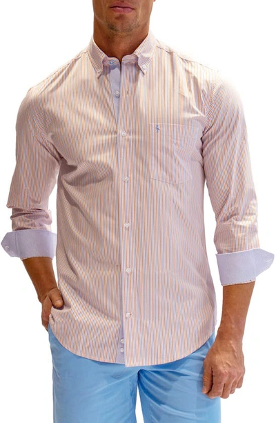 Tailorbyrd Heritage Stripe Print Long Sleeve Cotton Button-down Shirt In Orange