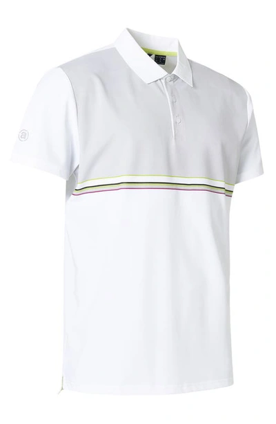 Abacus Burhnam Colorblock Golf Polo In White