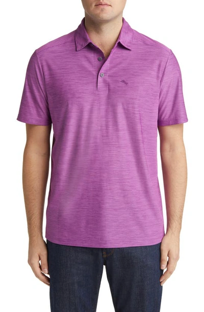 Tommy Bahama Palm Coast Polo In Paisley Purple