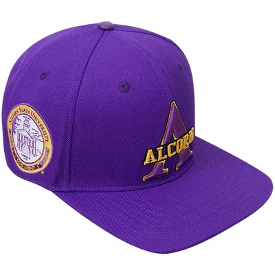 Pro Standard Purple Alcorn State Braves Evergreen Primary Logo Snapback Hat