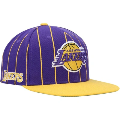 Mitchell & Ness Men's  Purple, Gold Los Angeles Lakers Hardwood Classics Pinstripe Snapback Hat