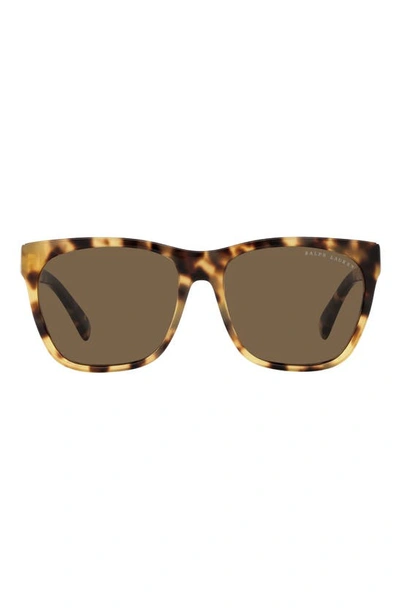 Polo Ralph Lauren 57mm Square Sunglasses In Havana