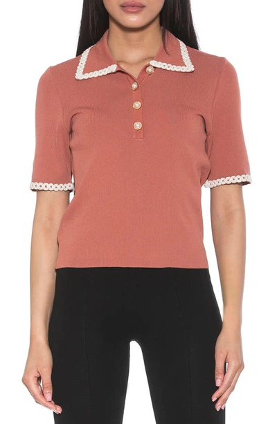 Alexia Admor Collared Knit Short Sleeve Top In Apricot