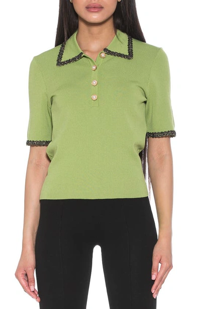 Alexia Admor Collared Knit Short Sleeve Top In Sage