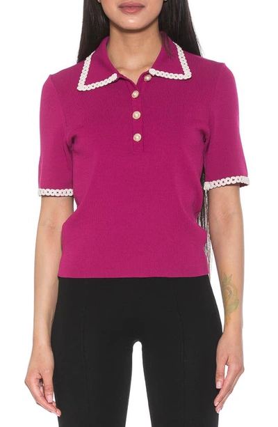 Alexia Admor Collared Knit Short Sleeve Top In Magenta