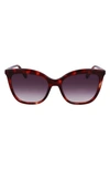 Longchamp 53mm Rectangular Sunglasses In Red Havana
