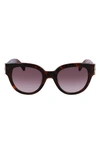 Longchamp 52mm Gradient Tea Cup Sunglasses In Havana