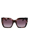Longchamp 53mm Rectangular Sunglasses In Brown