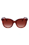 Longchamp 54mm Gradient Tea Cup Sunglasses In Red Havana