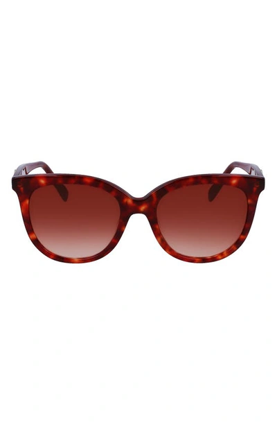 Longchamp 54mm Gradient Tea Cup Sunglasses In Red Havana