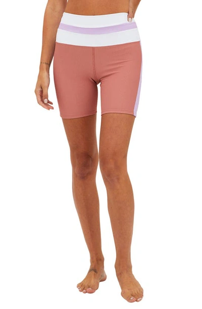 Beach Riot Samantha Rib Colorblock Bike Shorts In Pink