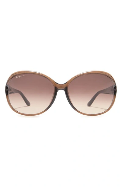 Ferragamo Salvatore  61mm Round Sunglasses In Lite Brown