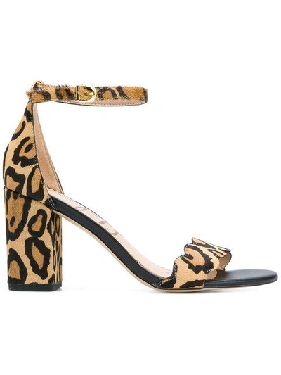 Sam Edelman Leopard Print Sandals