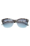 Ted Baker Full Rim Cat Eye Sunglasses In Blue