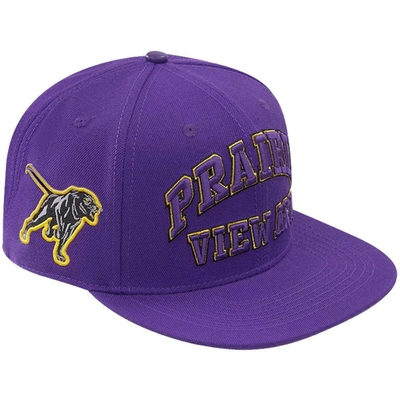 Pro Standard Men's  Purple Prairie View A&m Panthers Evergreen Prairie View Snapback Hat