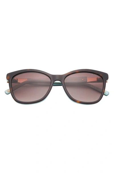Ted Baker Full Rim Cat Eye Sunglasses In Tortoise