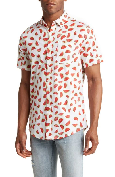 Abound Watermelon Print Short Sleeve Stretch Cotton Button-up Shirt In ...