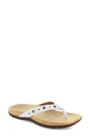 Strive Saria Flip Flop In White