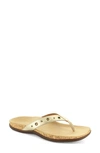 Strive Saria Flip Flop In Gold