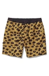 Stance Complex Sweat Shorts In Leopard Fade