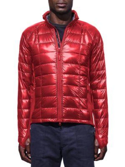 Canada Goose Hybridge Lite Down Jacket In Red