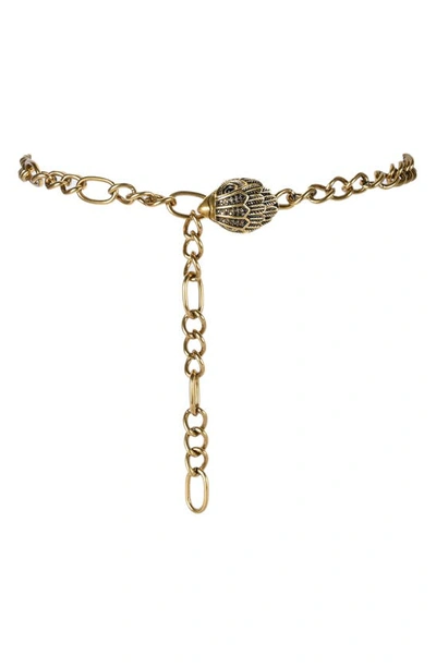 Kg Kurt Geiger Eagle Chain Belt In Antique Brass