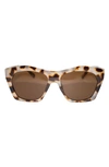 Fifth & Ninth Clara 50mm Polarized Small Geometric Sunglasses In White Torte/ Brown