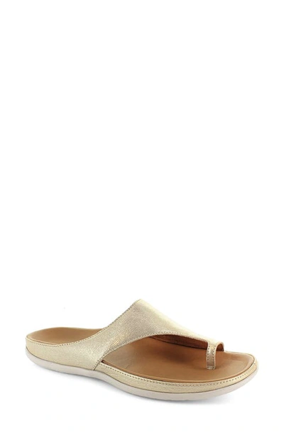 Strive Capri Ii Slide Sandal In Gold