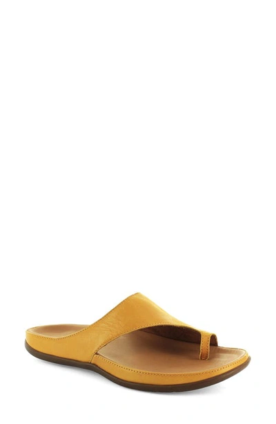Strive Capri Ii Slide Sandal In Yellow