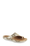 Strive Capri Ii Slide Sandal In Snake