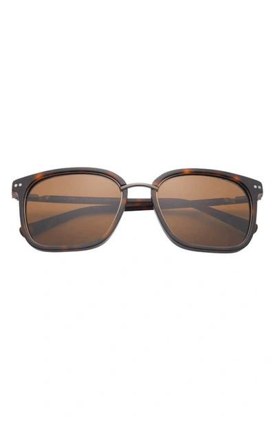Ted Baker Square Polarized Sunglasses In Tortoise
